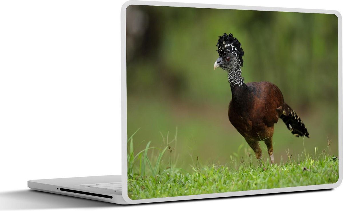 Afbeelding van product SleevesAndCases  Laptop sticker - 17.3 inch - Afbeelding van een bruine hokko