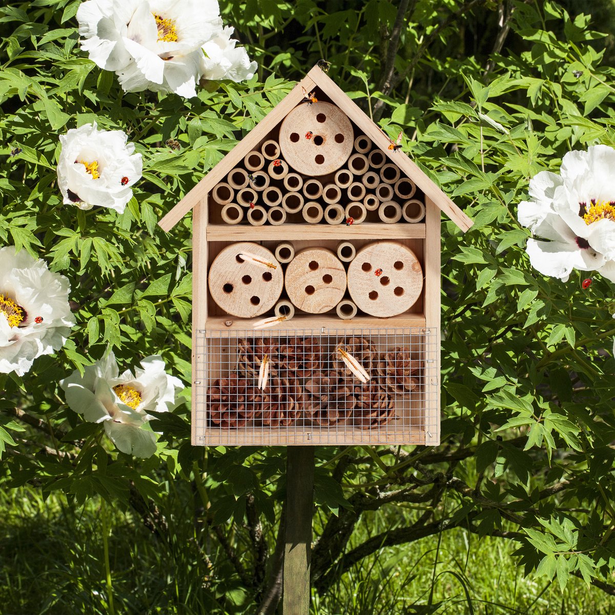 Insectenhotel bouwpakket - Insectenhotels - Bijenhotel - Insectenhotel - Insectenhotel - Must have voor in uw tuin! — cadeau in Spellen & Speelgoed - foto 4