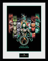 DC Comics: Aquaman Unite the Kingdom Collector Print