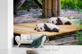 Behang - Fotobehang Panda's - Vloer - Hout - Breedte 330 cm x hoogte 220 cm