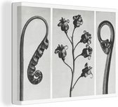 Canvas Schilderij Planten - Blad - Vintage - 40x30 cm - Wanddecoratie