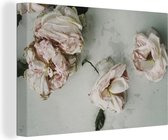 Peintures sur Toile Roses - Fleurs - Fleurs Fleurs séchées - 140x90 cm - Décoration murale