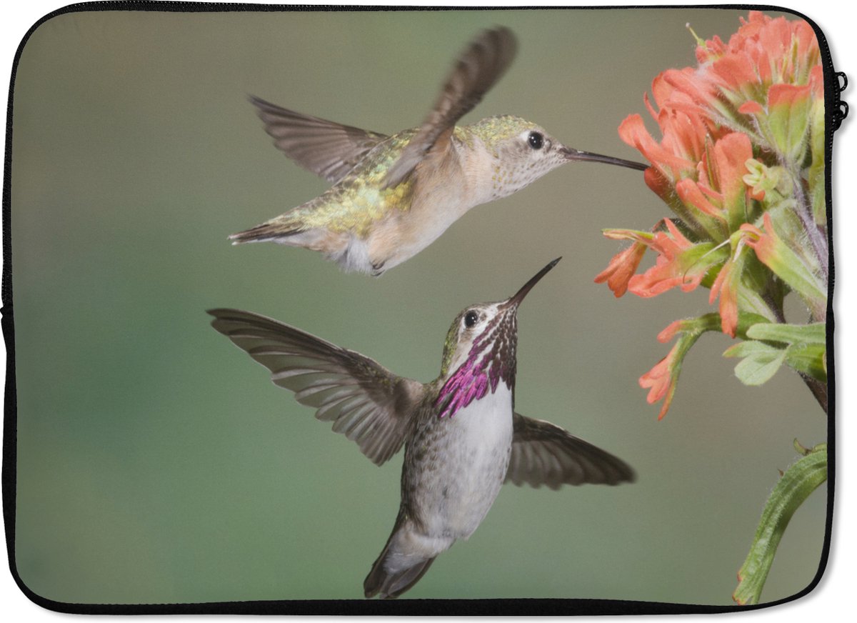 Laptophoes 13 inch - Kolibrie - Vogels - Bloem - Laptop sleeve - Binnenmaat 32x22,5 cm - Zwarte achterkant