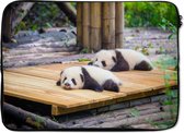 Laptophoes 13 inch - Panda's - Vloer - Hout - Laptop sleeve - Binnenmaat 32x22,5 cm - Zwarte achterkant