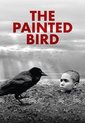 Painted Bird (DVD)