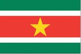 Surinaamse vlag 100x150cm - Spunpoly