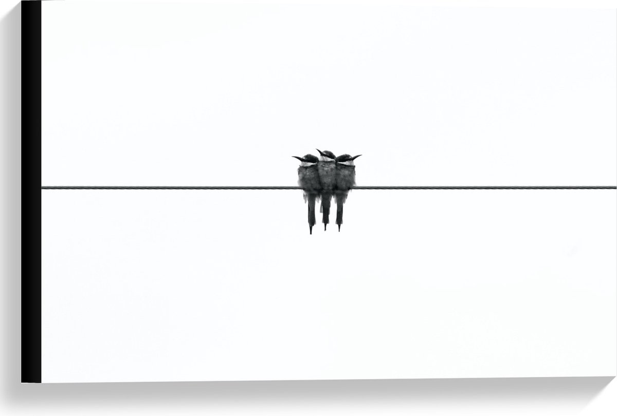 KuijsFotoprint Canvas - Vogels op Zwarte Lijn (zwart/wit) - 60x40cm Foto op Canvas Schilderij (Wanddecoratie op Canvas)