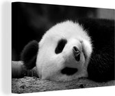 Tableau sur toile Panda endormi - noir et blanc - 60x40 cm - Décoration murale