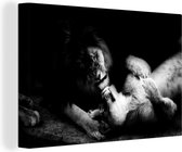 Tableau sur toile Un lion et une lionne ensemble - noir et blanc - noir et blanc - 60x40 cm - Décoration murale
