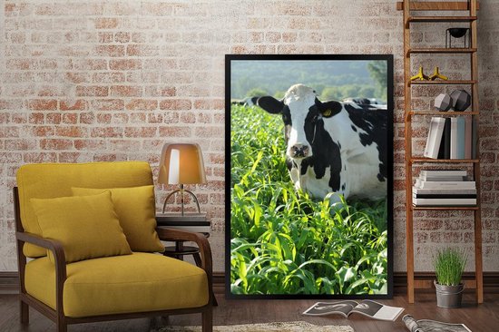 Cadre photo avec affiche - Vache - Herbe - Berg - Animaux - 80x120 cm - Cadre pour affiche
