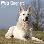 German Shepherds White Kalender 2022