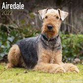 Airedale Terriers Kalender 2022