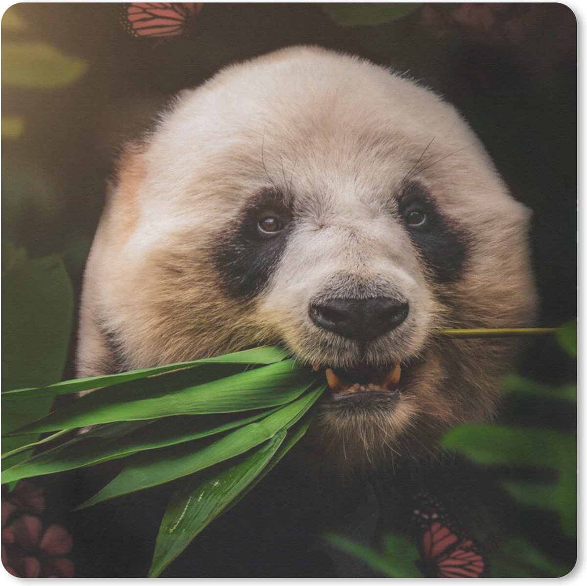 Muismat 30x30 cm - Mousepad Dieren - Panda - Jungle - Muismatten