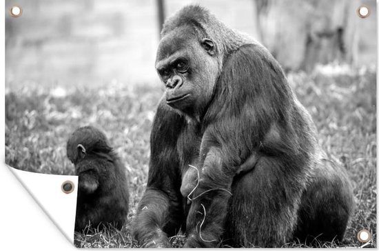 Muurdecoratie Een grote Gorilla met zijn baby - zwart wit - 180x120 cm - Tuinposter - Tuindoek - Buitenposter