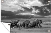 Muurdecoratie Kudde olifanten bij een meer - zwart wit - 180x120 cm - Tuinposter - Tuindoek - Buitenposter