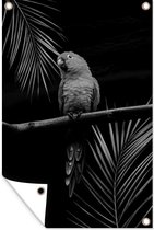 Tuindecoratie Een papegaai zit op een tak tegen een zwarte achtergrond - zwart wit - 40x60 cm - Tuinposter - Tuindoek - Buitenposter