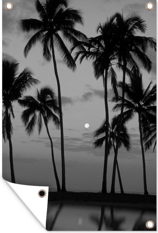 Silhouetten van palmbomen lichtbewolkte lucht met de maan en een reflectie - zwart wit - Tuindoek