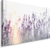 Schilderij -  Lavendel in zonsondergang  , Wanddecoratie , Premium print