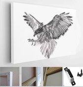 Itsallcanvas - Schilderij - Charcoal Painting Hawk On Paper Art Horizontal Horizontal - Multicolor - 30 X 40 Cm