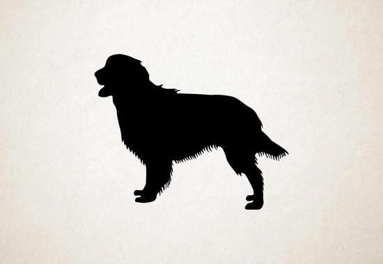 Silhouette hond - Epagneul Bleu De Picardie - - L - 75x94cm - Zwart - wanddecoratie