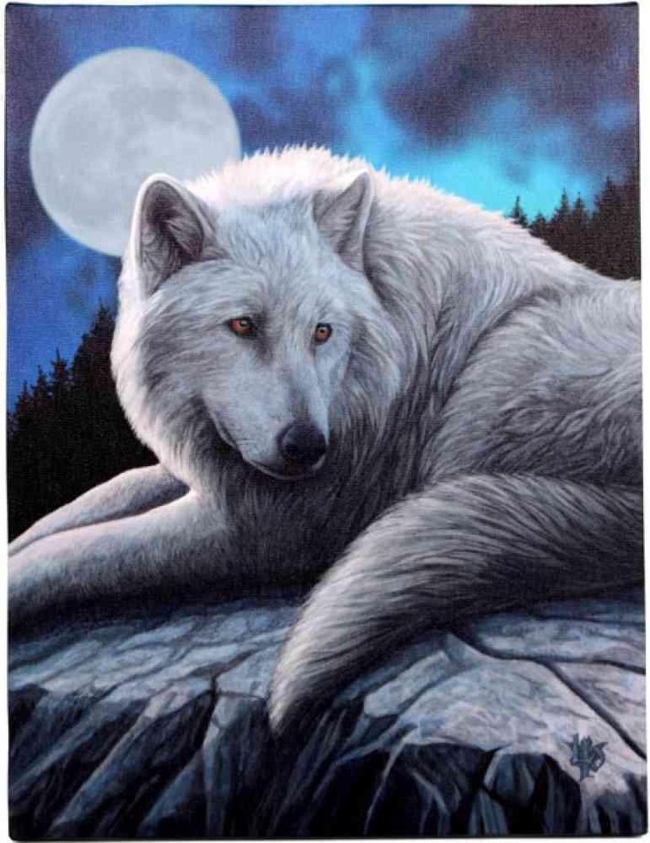 Something Different - Guardian of the North Canvas afbeelding - Multicolours