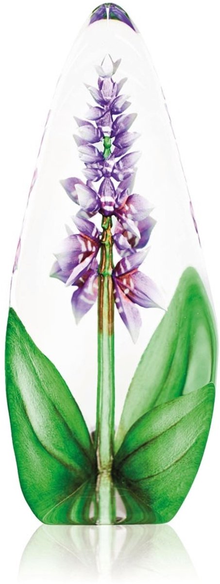 Mats Jonasson Orchidee - Helder, Paars, Groen - Voor Binnen - Staand