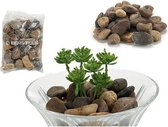 Set van Stenen (2 kg)