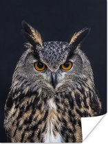Poster Portrait Eagle Owl 40x60 cm - Tirage photo sur Poster (décoration murale salon / chambre) / Poster Animaux