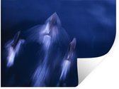 Stickers Stickers muraux - Mer - Dauphin - Water - 80x60 cm - Feuille adhésive