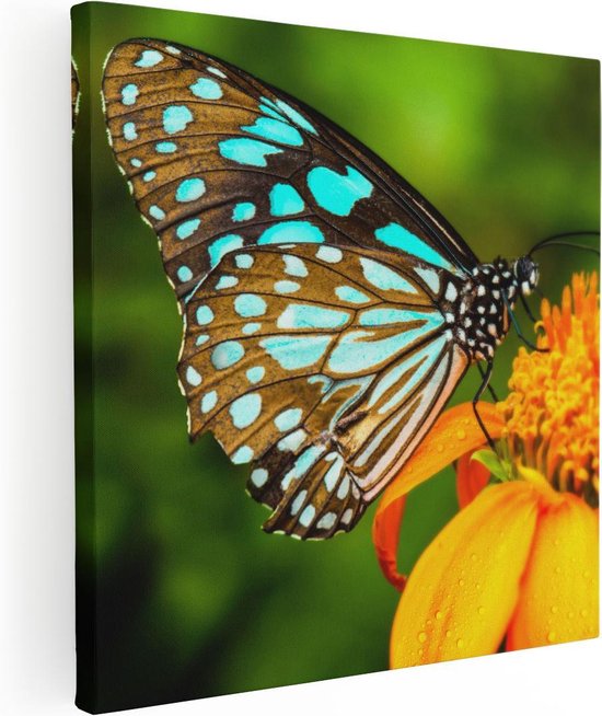 Artaza - Canvas Schilderij - Blauwe Vlinder Bij Een Oranje Bloem - Foto Op Canvas - Canvas Print