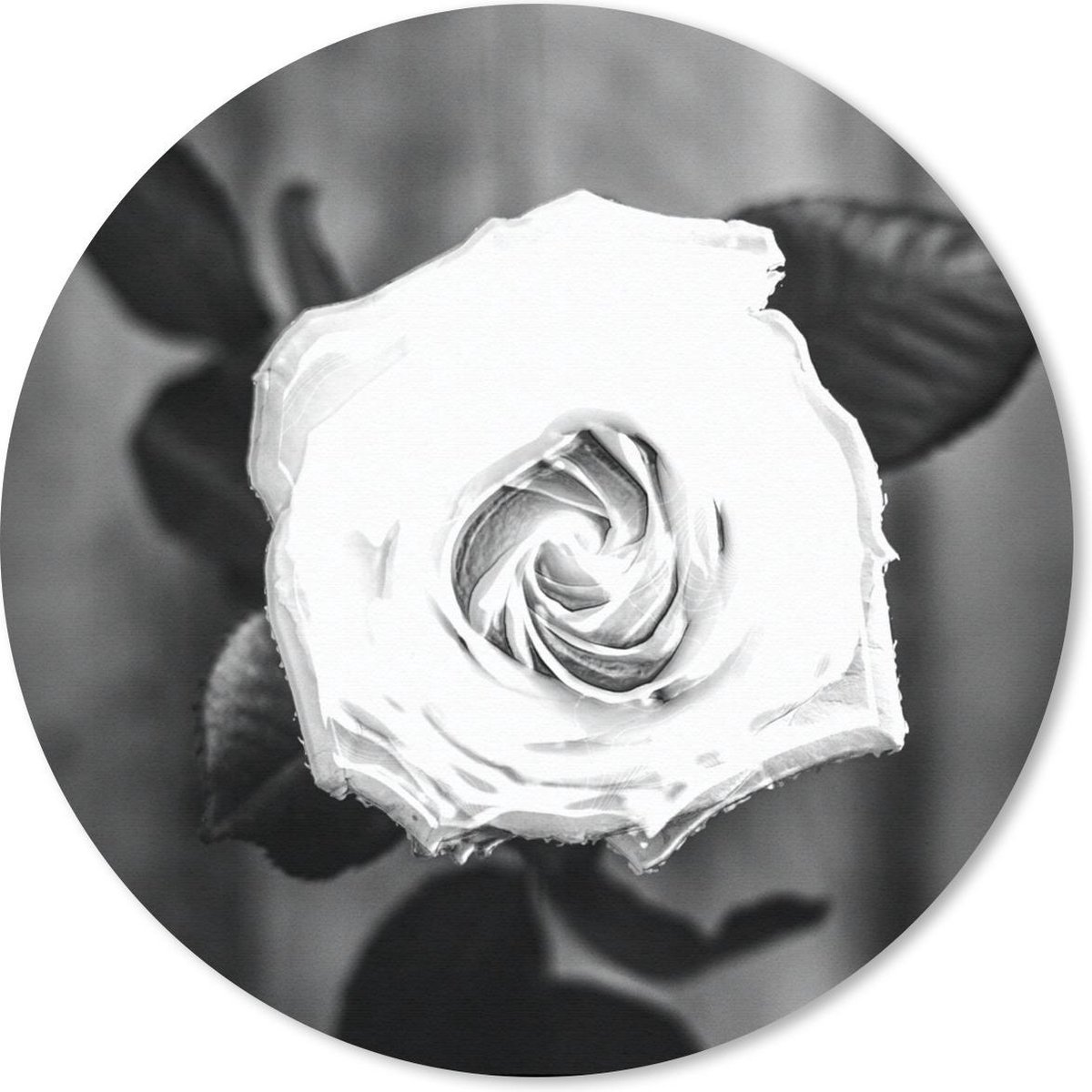 Muismat rond 50x50 cm - Mousepad Roos - Bloemen - Bladeren - Zwart - Wit - Ronde muismatten