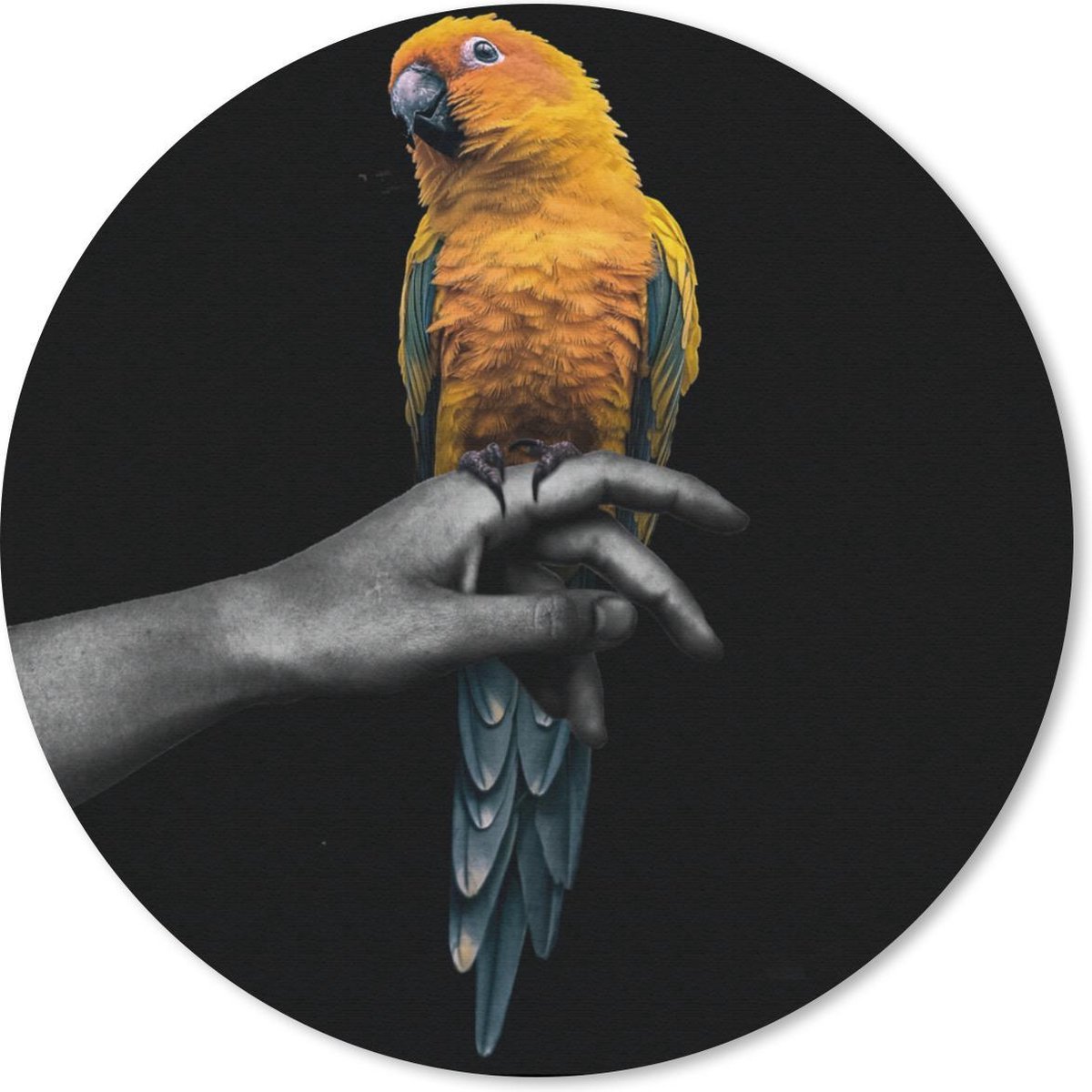 Muismat rond 40x40 cm - Mousepad Vogel - Papegaai - Hand - Geel - Ronde muismatten