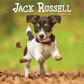 Jack Russell Terrier Kalender 2022 Mini