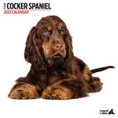 Cocker Spaniel - Kalender 2022
