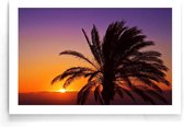 Walljar - Silhouet Palm - Muurdecoratie - Poster