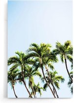 Walljar - Palms And Blue - Muurdecoratie - Poster.