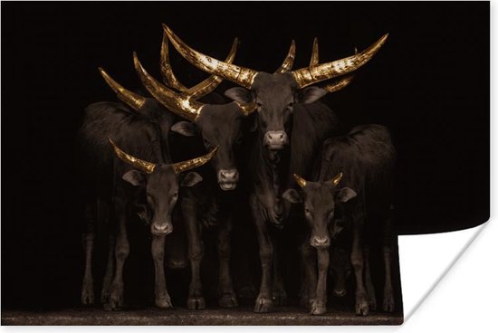 Poster Koeien - Horens - Goud - 60x40 cm | bol