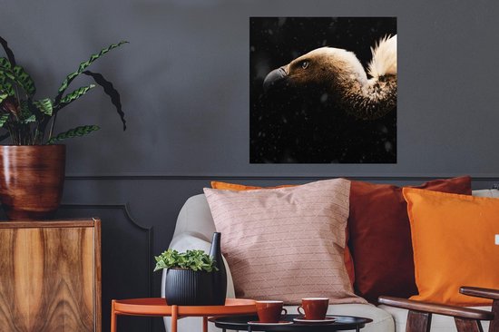 Poster Vautour - Wit - Zwart - 50x50 cm