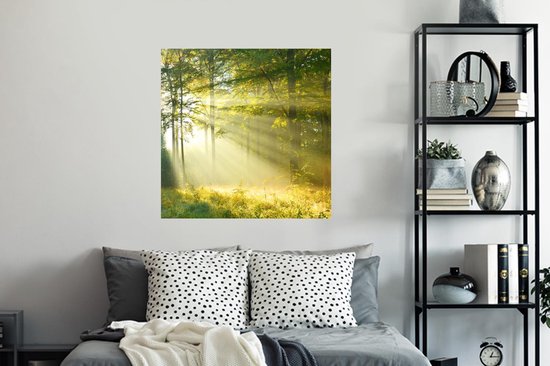 Stickers muraux - Forêt - Lumière - Printemps - 100x100 cm - Film Adhésif XXL