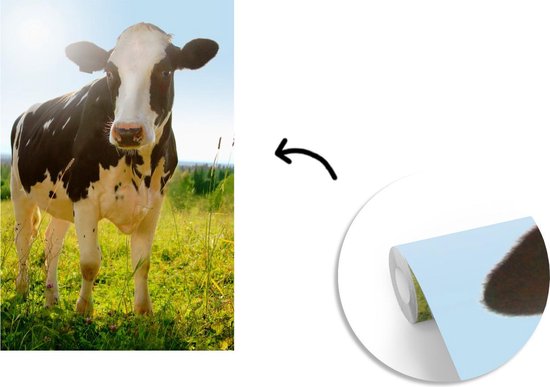 Papier peint - Papiers Papier peint photo Vache - Animaux - Macro - Soleil - Largeur 145 cm x Hauteur 220 cm