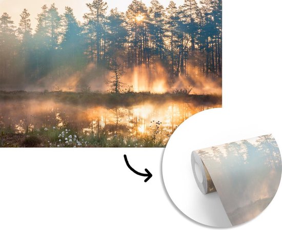 Papier Peint - Papiers Papier peint photo Lac - Soleil - Arbre - Largeur 360 cm x Hauteur 240 cm