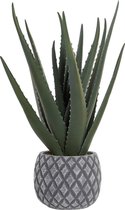 Decoratieve plant DKD Home Decor Aloë Vera Polyethyleen Keramiek (20 x 20 x 47 cm)