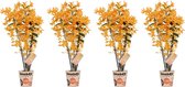 Orchideeën van Botanicly – 4 × Bamboe Orchidee – Hoogte: 50 cm, 3 takken – Dendrobium nobile Firebird