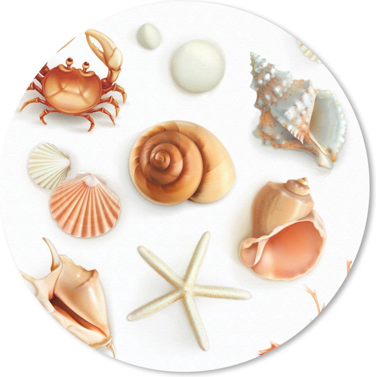 Muismat rond 30x30 cm - Mousepad Schelpen - Zeedieren - Collage - Ronde muismatten