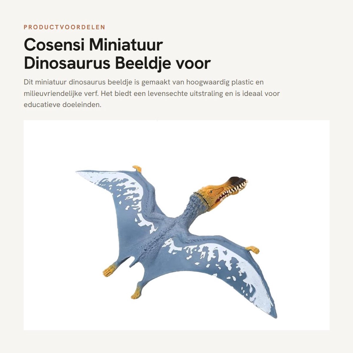 Dailygoods- Dinosaurus Beeldje Educatief - Miniatuur Model - Pterosauria - Veilig Plastic - Voor Kinderen 3 Jaar - Levensecht Ontwerp - Dinosaurusspeelgoed
