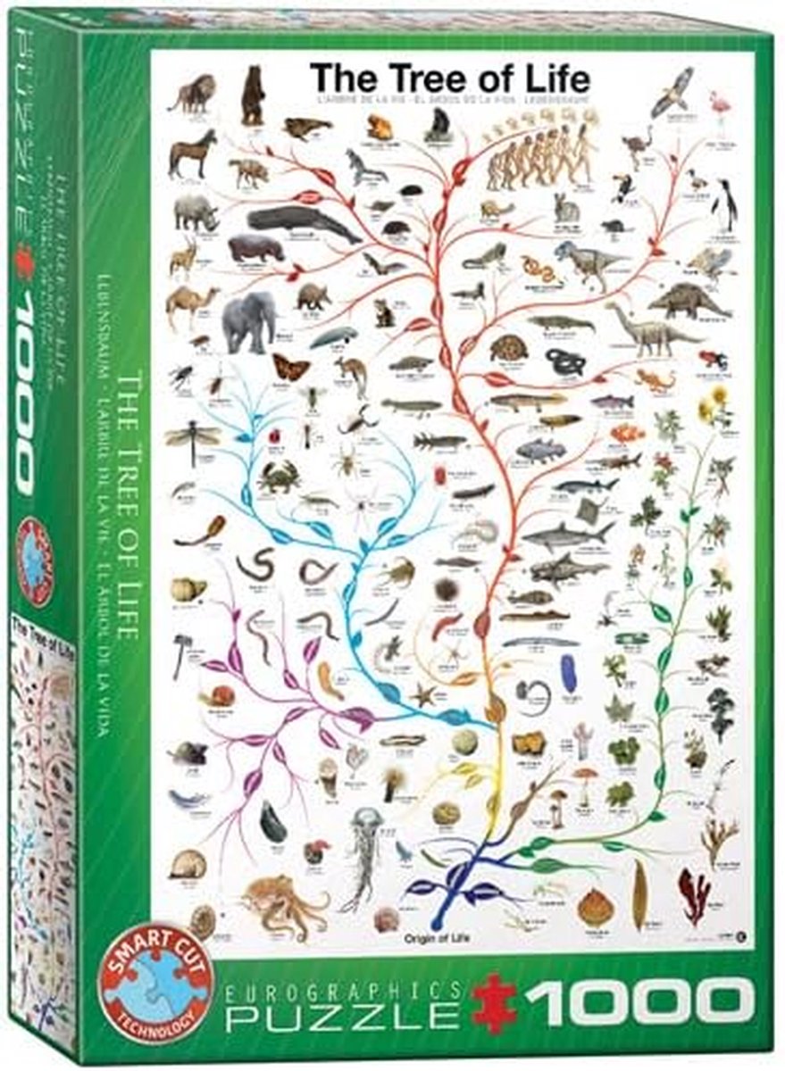 Legpuzzel - Puzzel set - Ontspanning thuis - Inclusief frame - 1000 stukjes - Kleurrijk