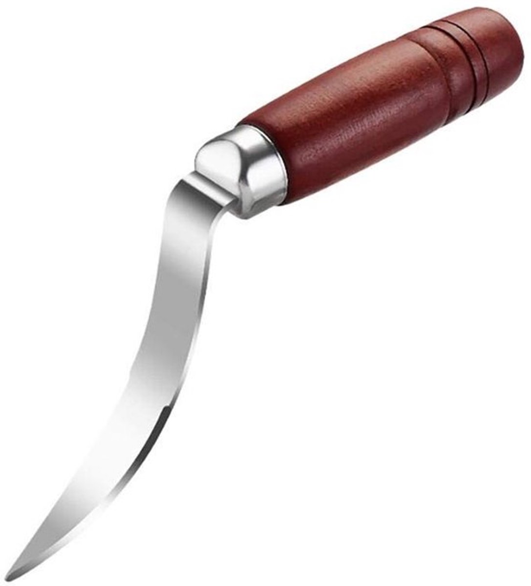 Dailygoody - Kokosnootopener - Kokosnootschraper - Duurzaam en sterk - 22 x 12,5 x