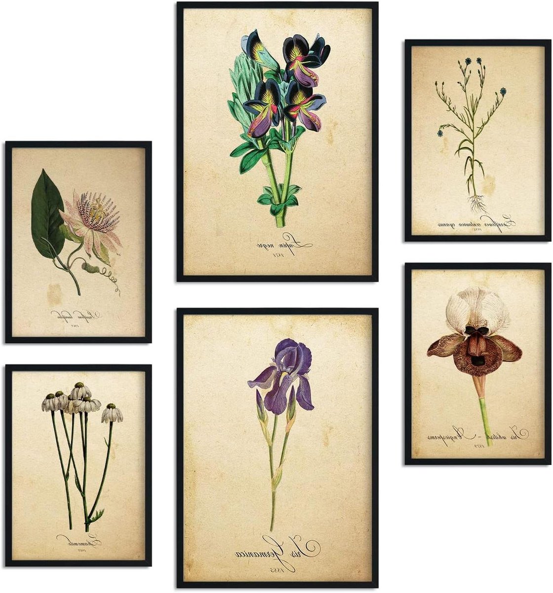 Bloemenposters Set - Collage Prints - Interieur Decoratie - Met Zwart Frame - A3 en A4 - Vintage