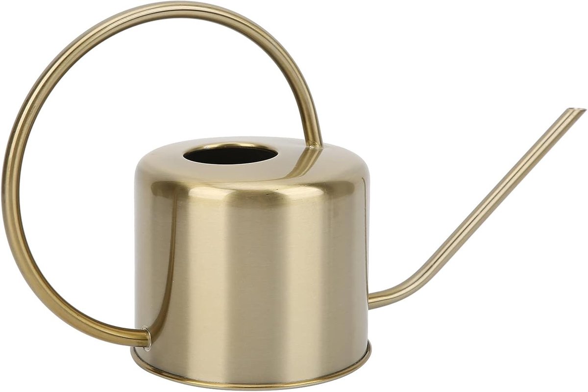 1300ml Gieter met Lange Tuit van RVS en Messing voor Bonsai, Succulenten en Tuinplanten