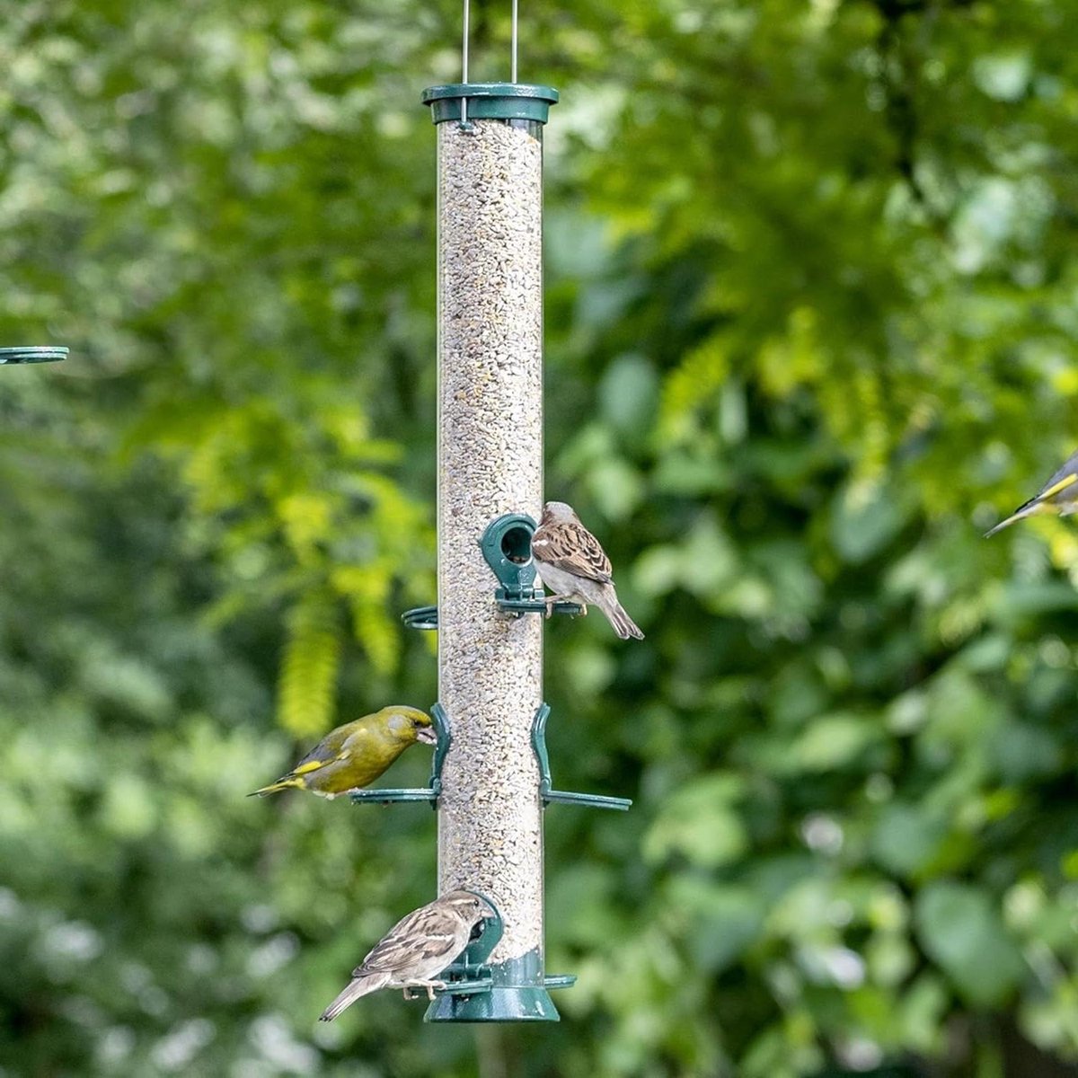 Voedersilo Tuinvogels - Vogelvoederhuisje Hangend - Vogels Voeren - Natuurlijk Voedingsgedrag - 59 x 10 x 9 cm - Groen